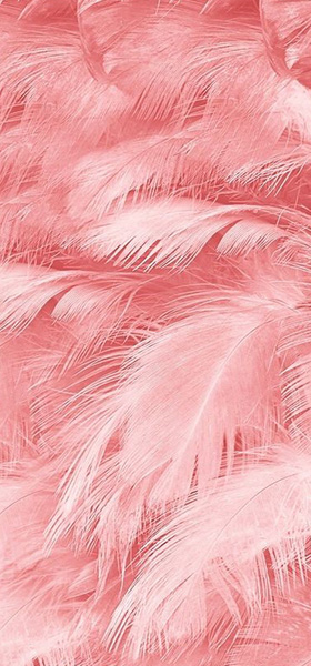 Color Blow > DELICADEZA